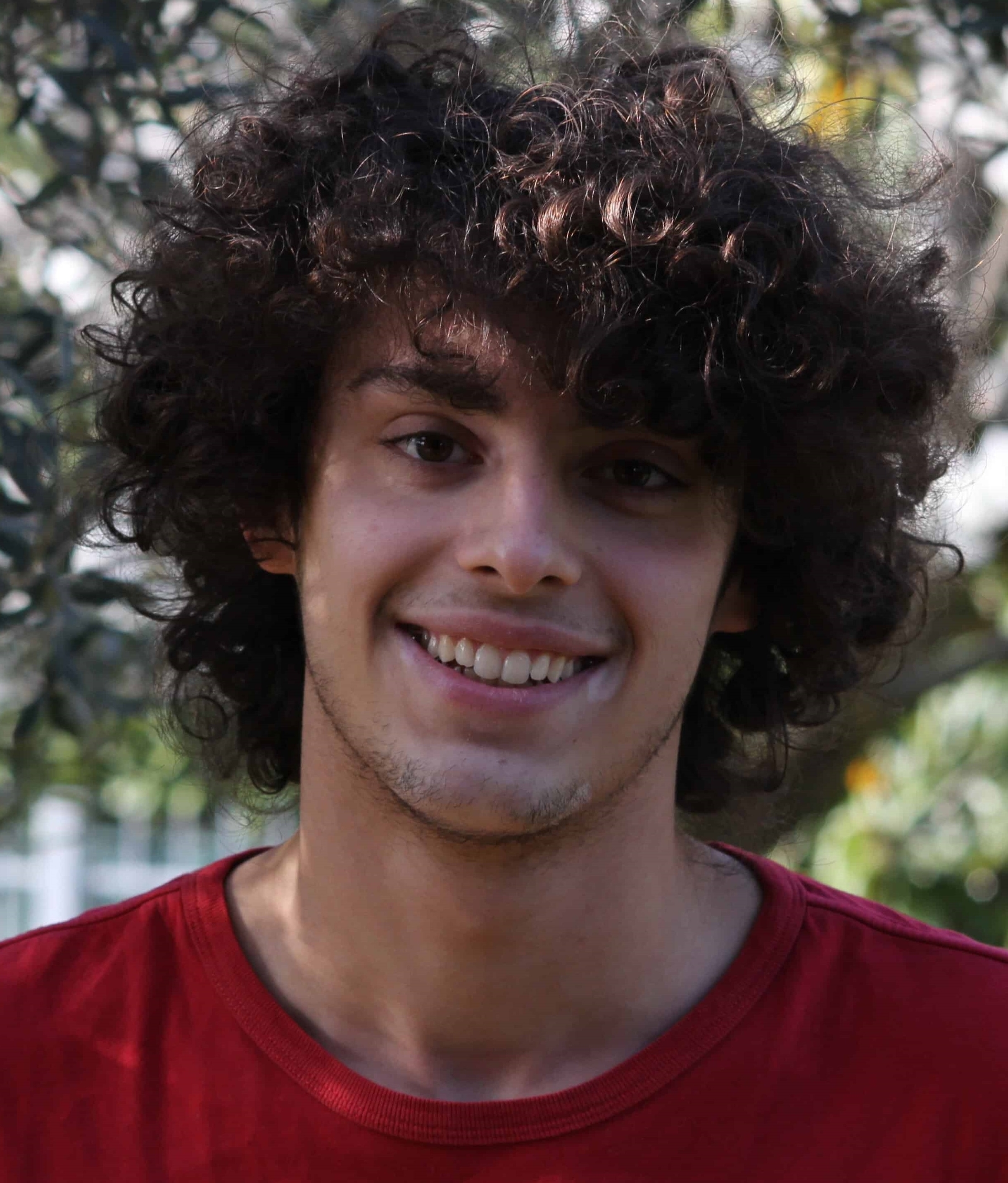 Francesco Salvi